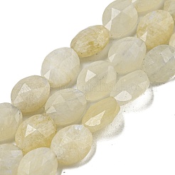 Natural Rainbow Moonstone Beads Strands&nbsp;G-P544-D03-01
