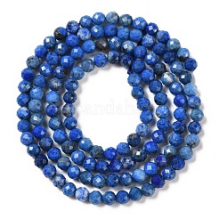 Natural Lapis Lazuli Beads Strands&nbsp;G-L587-A03-02