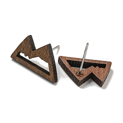 Walnut Wooden Stud Earrings&nbsp;EJEW-B060-01