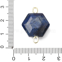 Faceted Natural Lapis Lazuli Carved Links&nbsp;G-T146-01G-10