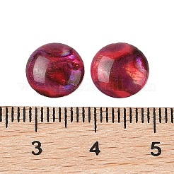 Natural Abalone Shell/Paua Shell Resin Cabochons&nbsp;SSHEL-K003-10MM-02