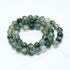 Natural Moss Agate Beads Strands&nbsp;G-I199-06-4mm
