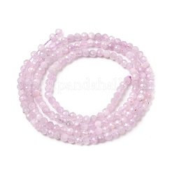 Natural Kunzite Beads Strands&nbsp;G-P603-C-2mm-05