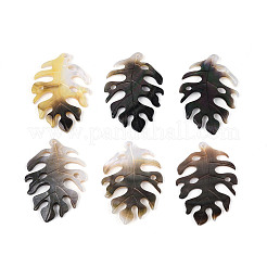 Natural Black Lip Shell Pendants&nbsp;SHEL-R100-07A