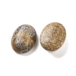 Natural Picture Jasper Cabochons&nbsp;G-B085-06C-03