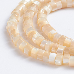 Natural Trochid Shell/Trochus Shell Beads Strands&nbsp;SSHEL-L016-13