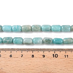 Natural Amazonite Beads Strands&nbsp;G-G980-36A