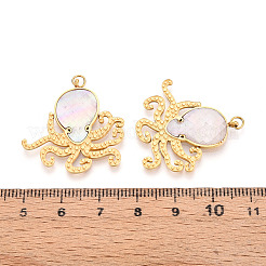 304 Stainless Steel Pave Natural Shell Pendants&nbsp;STAS-N115-23A-G