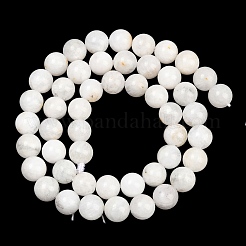 Round Grade A Natural Rainbow Moonstone Bead Strands&nbsp;G-M304-06-8.5mm