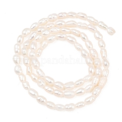 Natural Cultured Freshwater Pearl Beads Strands&nbsp;PEAR-D003-01D-03