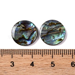 Natural Paua Shell Epoxy Resin Cabochons&nbsp;SSHEL-S279-01A