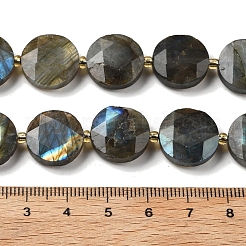 Natural Labradorite Beads Strands&nbsp;G-C116-A164-03