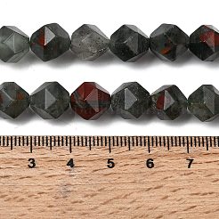 Natural African Bloodstone Beads Strands&nbsp;G-Z119-A28-03
