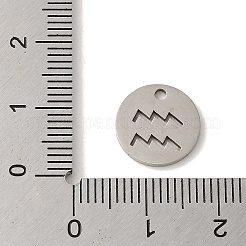 Non-Tarnish 201 Stainless Steel Charms&nbsp;STAS-E217-10P-07