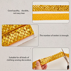 Polyester with PT Paillette Lace Trim Ribbon&nbsp;OCOR-WH20073-01B