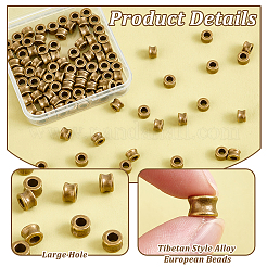 100Pcs Tibetan Style Alloy European Beads&nbsp;DIY-PH0023-44A