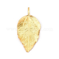 Iron Cabochons&nbsp;IFIN-Q118-41G
