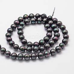 Shell Pearl Bead Strands&nbsp;X-BSHE-L025-05-6mm