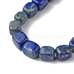 Natural Lapis Lazuli Beads Strands&nbsp;G-F743-02Q