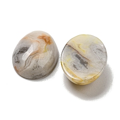 Natural Crazy Agate Cabochons&nbsp;X-G-C115-01A-33