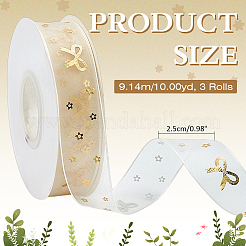 Polyester Ribbons&nbsp;OCOR-WH0120-45B