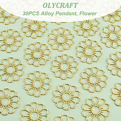 30PCS Alloy Pendant&nbsp;FIND-OC0003-19C