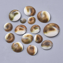 Natural Shell Cabochons&nbsp;SSHEL-S258-93