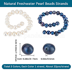 2 Strands 2 Colors Natural Cultured Freshwater Pearl Beads Strands&nbsp;PEAR-BBC0001-23