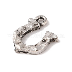 Tibetan Style Alloy Charms&nbsp;TIBE-Q090-29AS