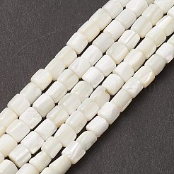Natural Sea Shell Column Bead Strands&nbsp;SSHEL-M014-22-A