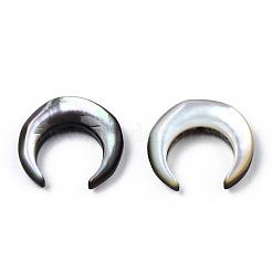 Natural Shell Bead sets&nbsp;SSHEL-N034-122B