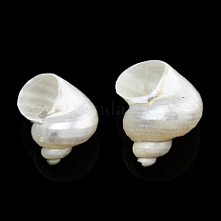 Natural Spiral Shell Beads&nbsp;SSHEL-N034-126