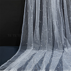 2Pcs Nylon Lace Fabric&nbsp;DIY-PH0029-43B