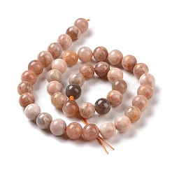 Round Natural Multi-Moonstone Beads Strands&nbsp;G-I176-09-8mm