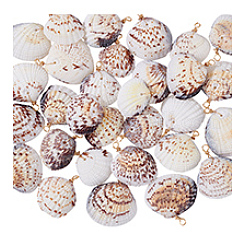 30Pcs Natural Shell Pendants&nbsp;PALLOY-PH01839