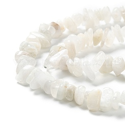 Natural Rainbow Moonstone Beads Strands&nbsp;G-A200-02