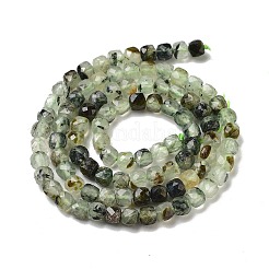 Natural Prehnite Beads Strands&nbsp;X-G-B088-E16-04