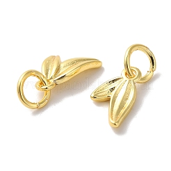 Long-Lasting Plated Brass Charms&nbsp;LS-KK-K381-08G-01
