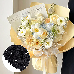 5M Polyester Pleated Lace Ribbon&nbsp;OCOR-WH0085-66A