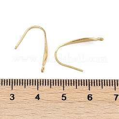 304 Stainless Steel Ear Wire Accessory&nbsp;STAS-Q336-12B-G