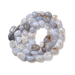 Natural Blue Lace Agate Beads Strands&nbsp;G-L608-A02-01B
