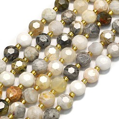 Natural Bamboo Leaf Agate Beads Strands&nbsp;G-C116-A34-02