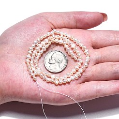 Natural Cultured Freshwater Pearl Beads Strands&nbsp;PEAR-N014-03A