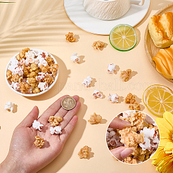 80Pcs 8 Styles Plastic Popcorn Miniature Ornaments&nbsp;RESI-SC0006-92