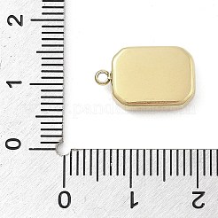 316 Surgical Stainless Steel Pendants&nbsp;STAS-S159-02B-G