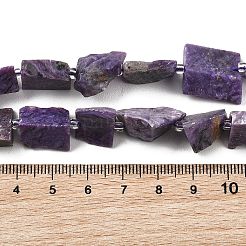 Natural Charoite Beads Strands&nbsp;G-D101-B17