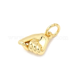 Brass Charms&nbsp;KK-I364-09G-02