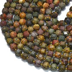 Natural Polychrome Jasper/Picasso Stone/Picasso Jasper Beads Strands&nbsp;G-K389-A62-01