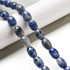 Natural Blue Spot Jasper Beads Strands&nbsp;G-B106-B29-01