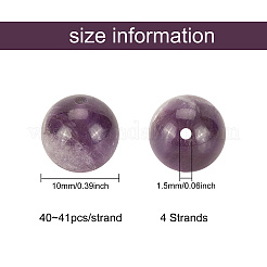 Natural Amethyst Beads Strands&nbsp;G-OC0001-63-10mm